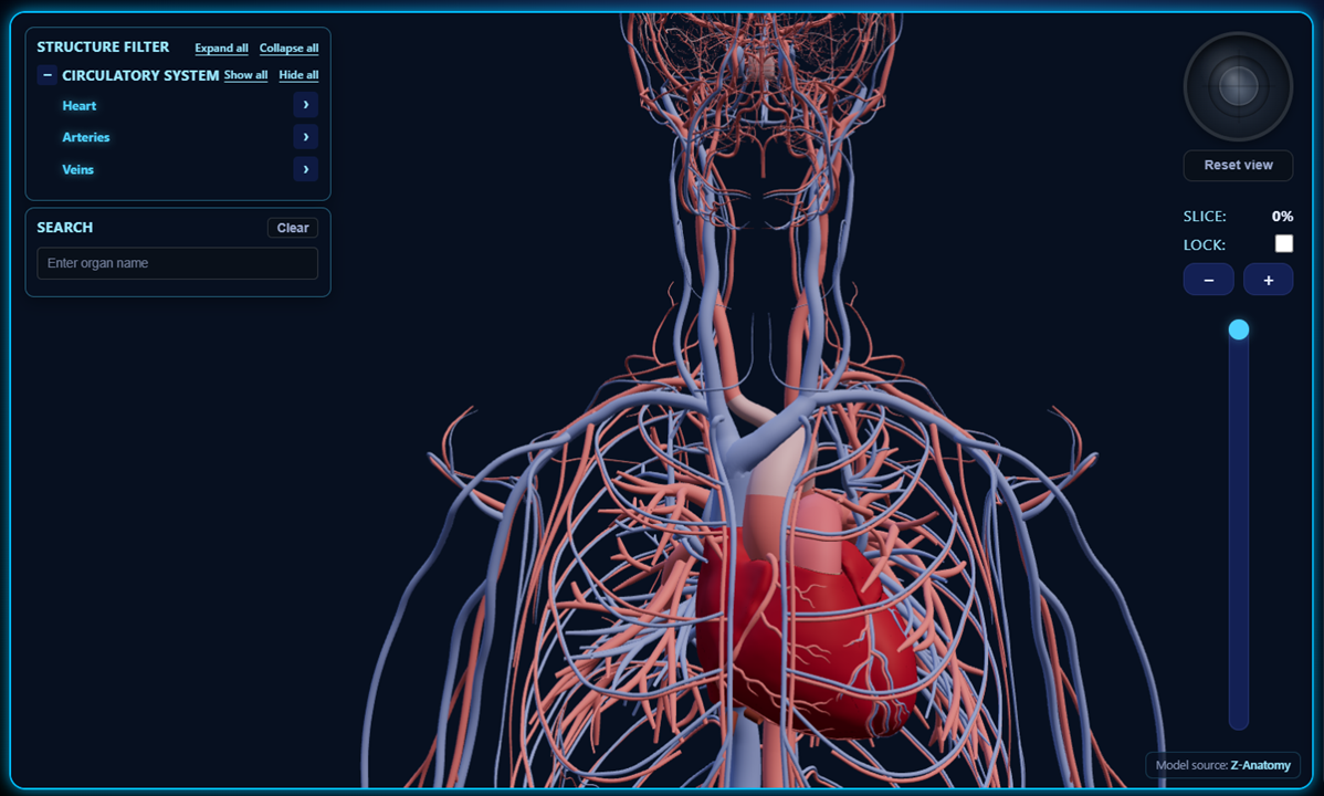 3D Anatomy screenshot