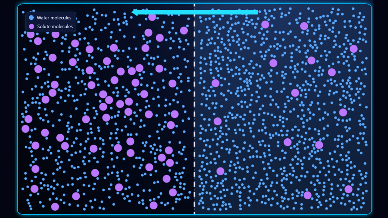 Basic mode: left side hypertonic example