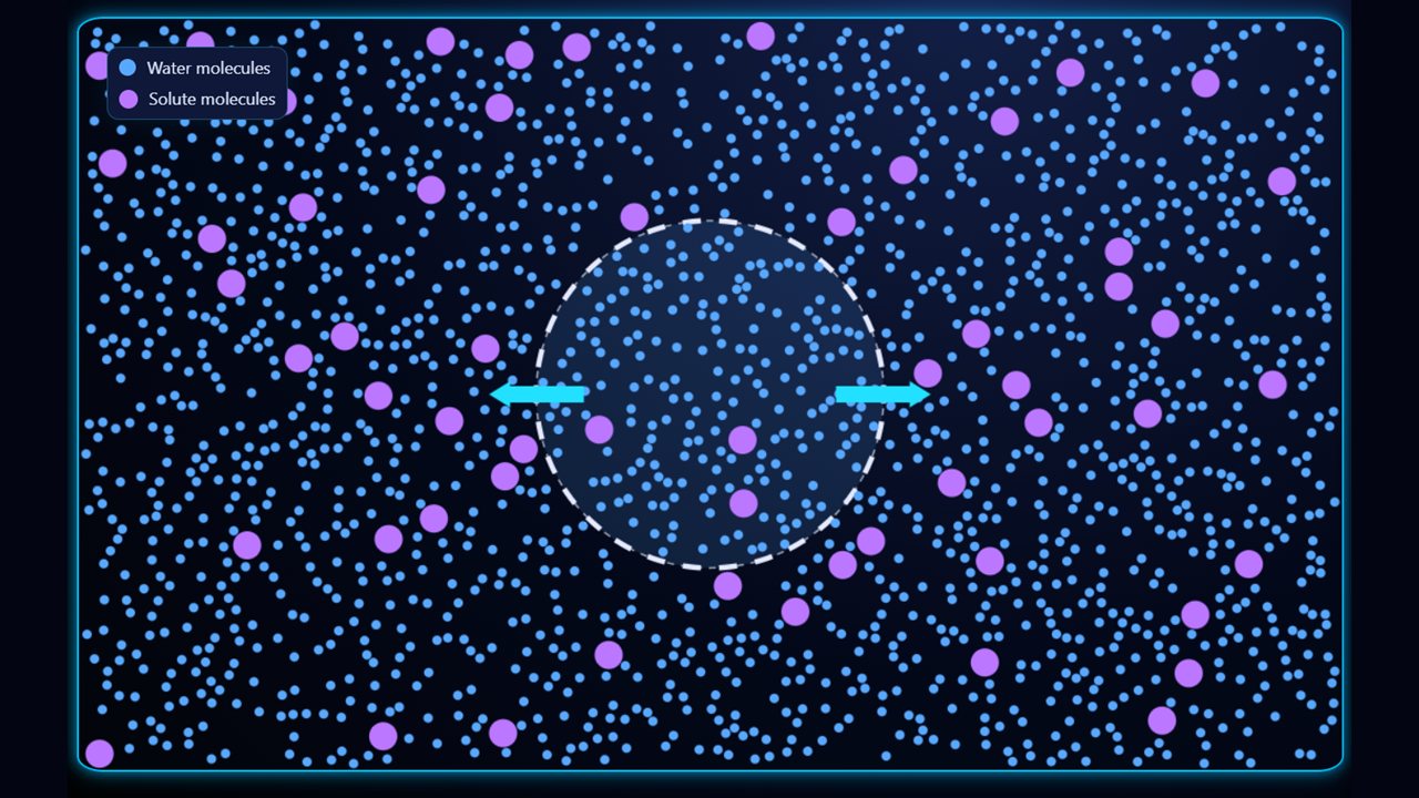 Cell mode: outside hypertonic example