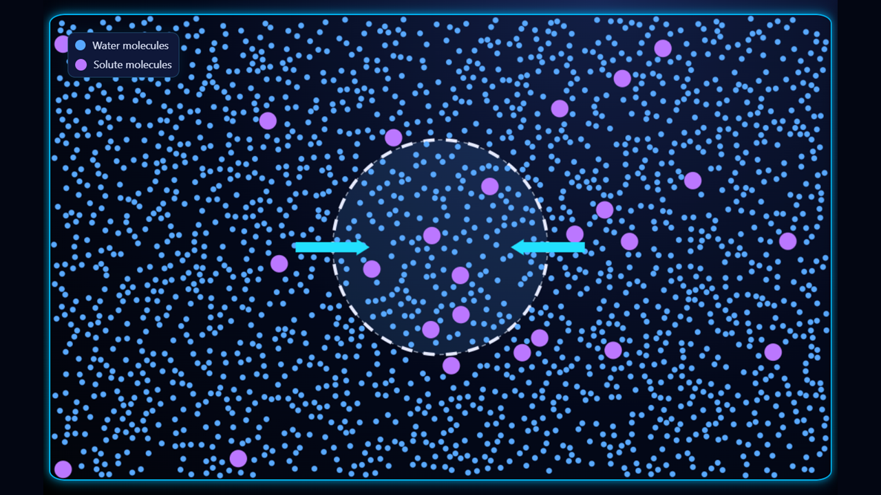 Cell mode: inside hypertonic example